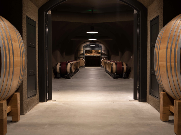 Winery cave with barrels