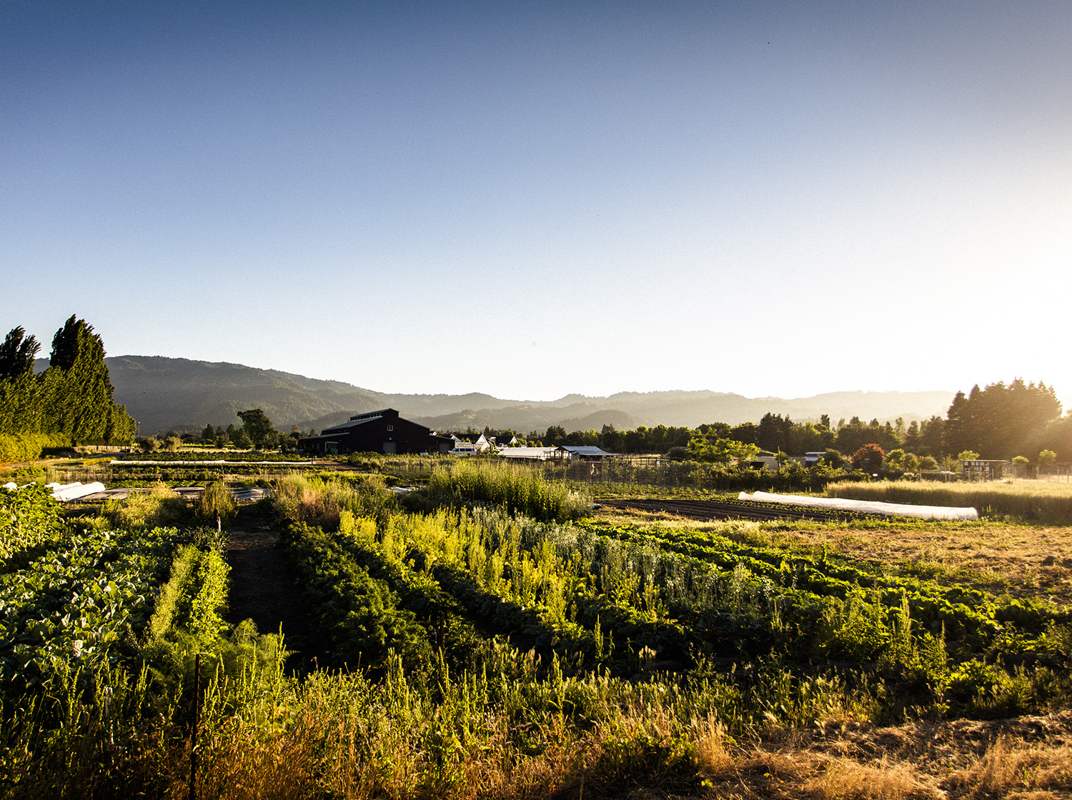 Image of the Garden TRAM near our Napa Valley, California restaurant.