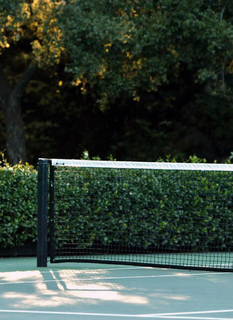 Tennis court net and hedge