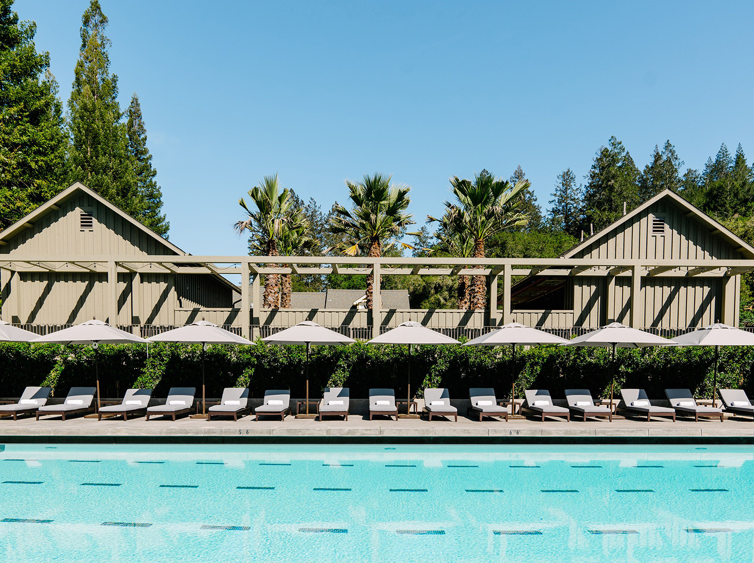 Lap pool with chaise lounge chairs and umbrellas