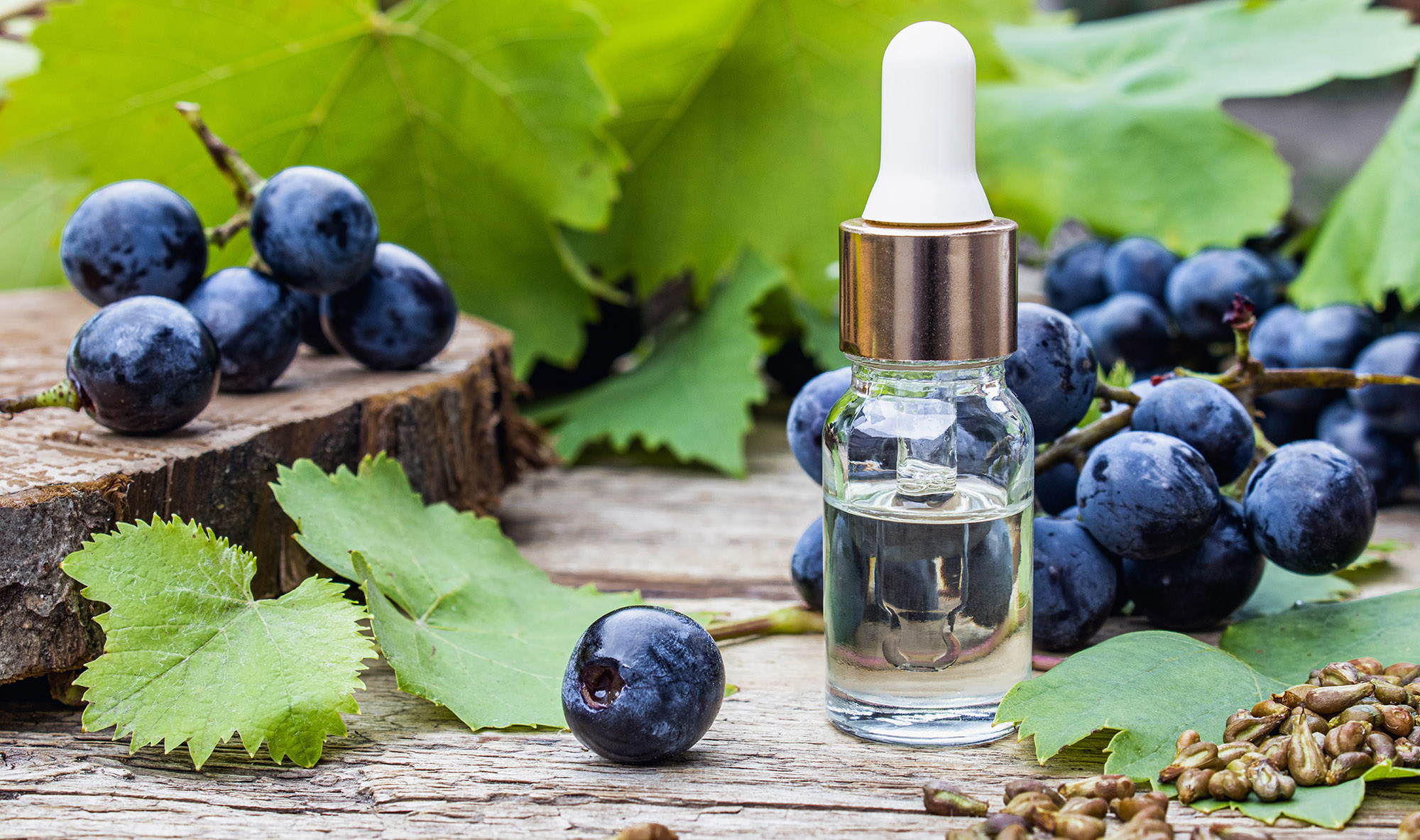 Bottle with grape seed essential oil on old wooden boards near grones of blue grapes and green leaves