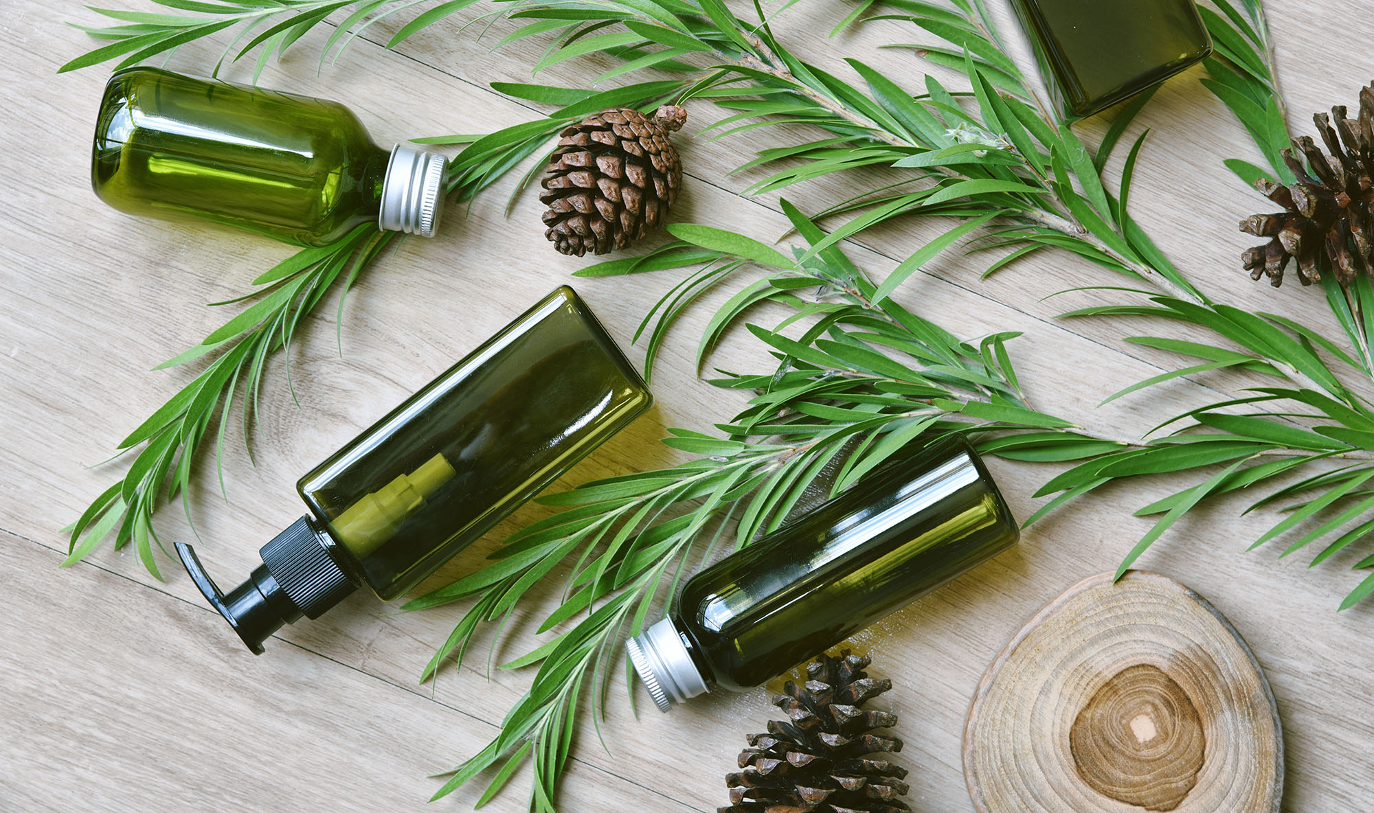 Cosmetic bottle containers packaging with green herbal leaves