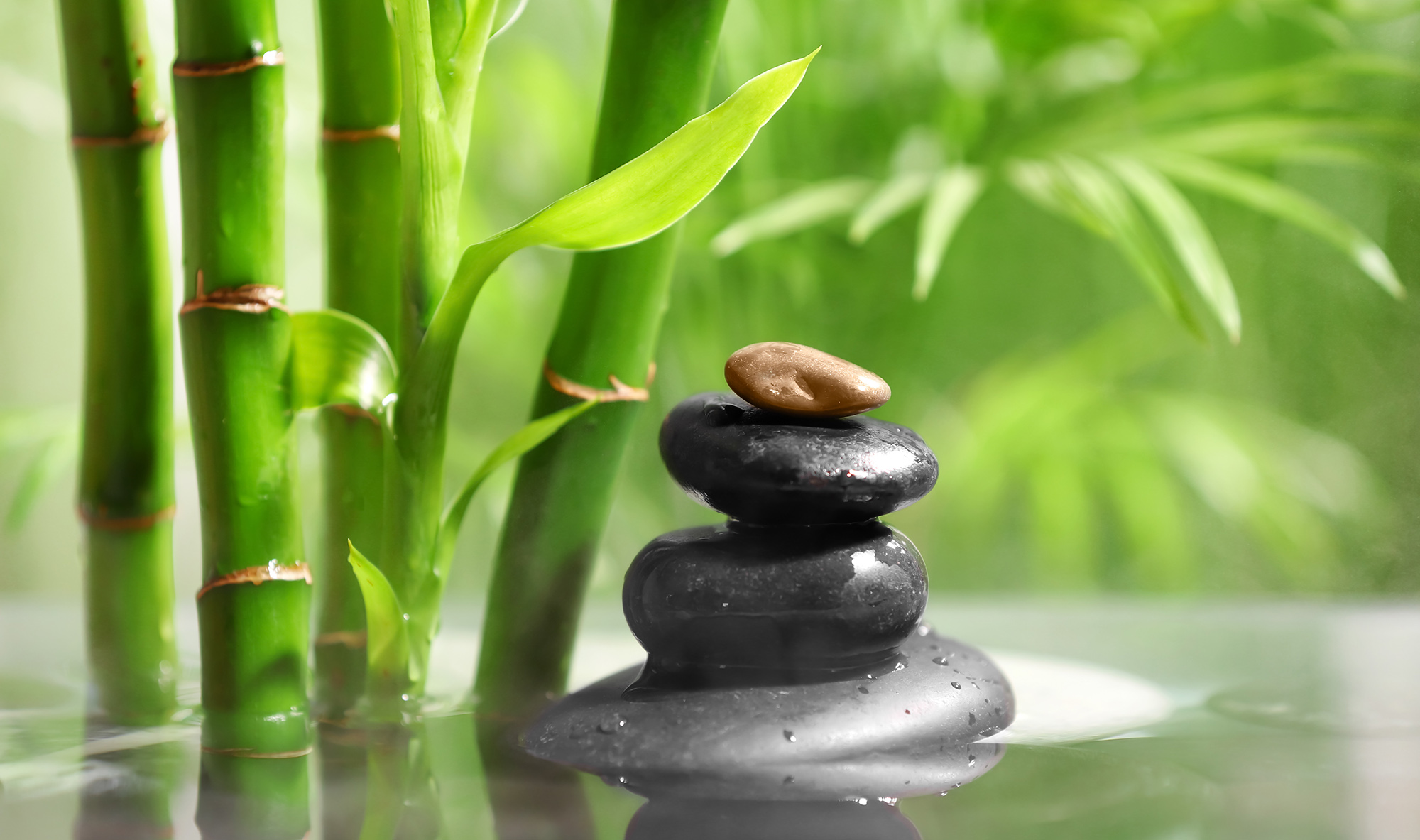 Lake with stack of spa stones and bamboo in tropical garden