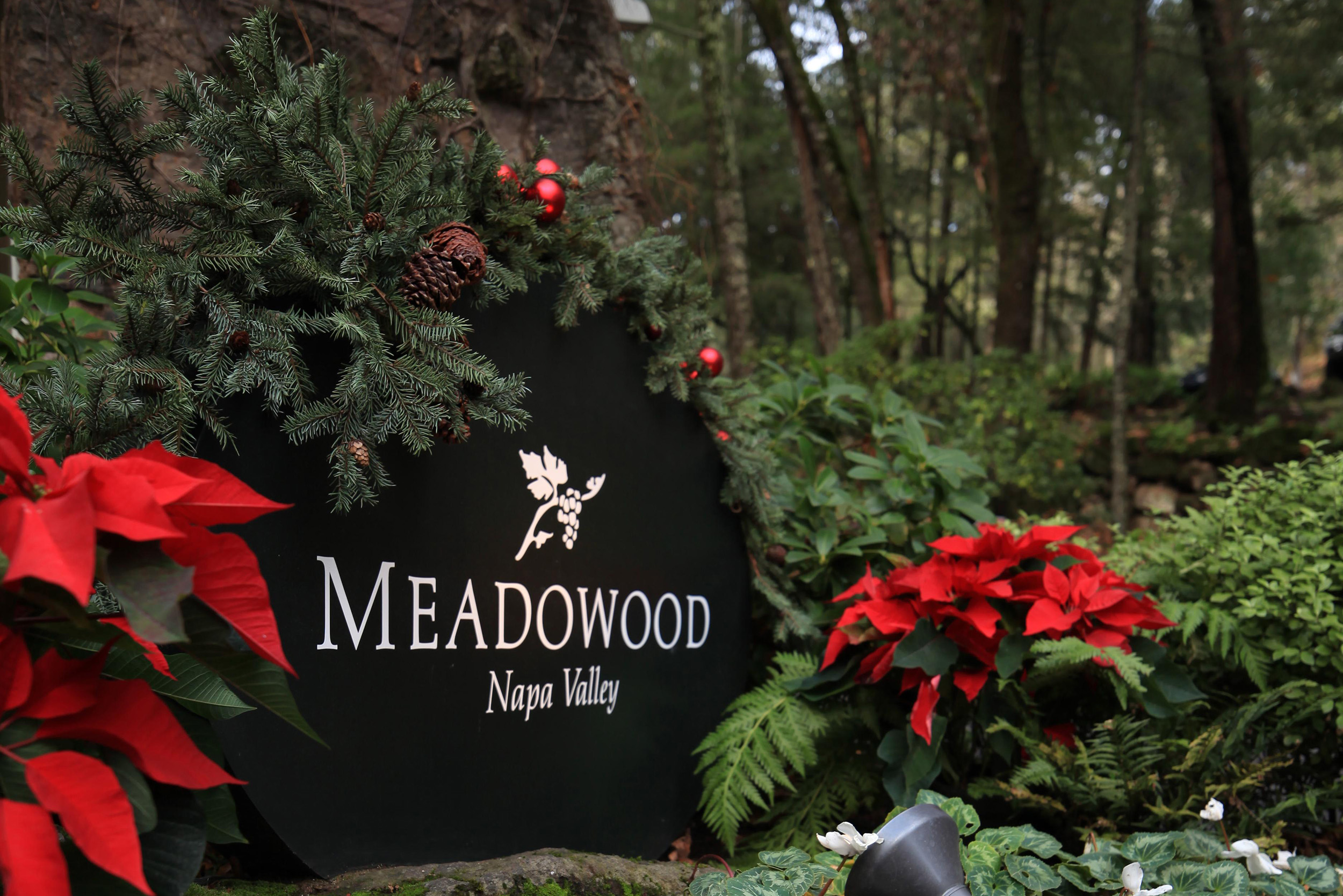 Winter at Meadowood